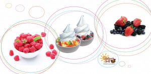 frozen-yogurt-counter2