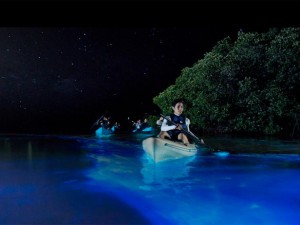 bioluminescent-bay-vieques-puerto-rico.jpg.rend.tccom.616.462