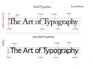 Some terms of typeface