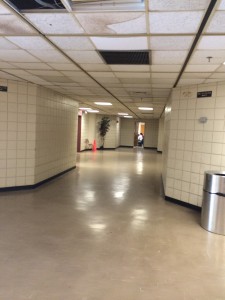 3rd Floor Hallway