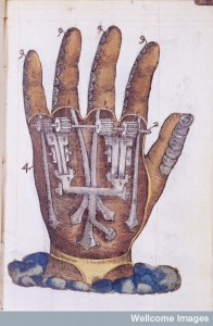 L0005772 Pare, Hand, showing mechanical movement, Credit: Wellcome Library, London. Wellcome Images images@wellcome.ac.uk http://wellcomeimages.org Artificial hand. 1564 Instrumenta chyrurgiae et icones anathomicae / Ambroise Paré Published: 1564] Copyrighted work available under Creative Commons Attribution only licence CC BY 4.0 http://creativecommons.org/licenses/by/4.0/