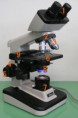 Image of a modern light microscope with each part identified