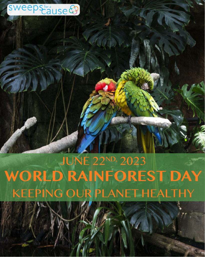 Parrots at the Rainforest Pyramid at Moody Gardens poster for World Rainforest Day