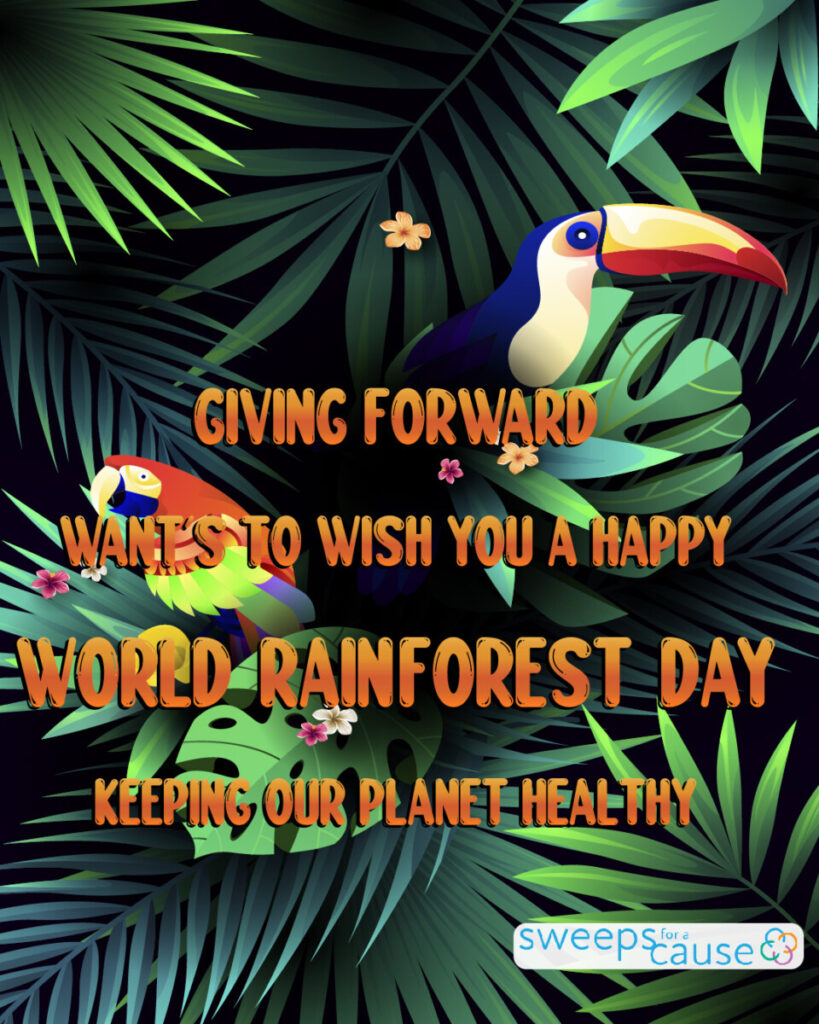 Summer tropical World Rainforest Day design