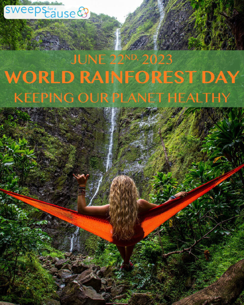 Women in Rainforest  laying in a Hammock celebrating World Rainforest Day
