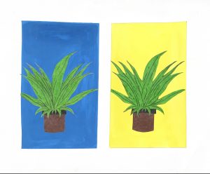 Plant based on the art gallerie 