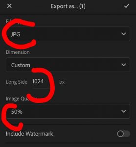screen shot of settings for image export in Lightroom Photoshop App