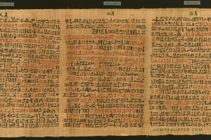 c.1550 BCE: Cannabis in the Ebers Papyrus - Hemp History