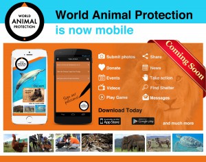 World Animal Protection