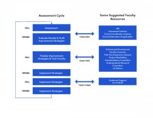 comparison-assessment-cycle