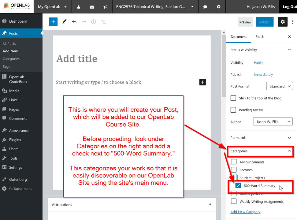 Before typing anything, look under Categories on the right and add a check next to "500-Word Summary."