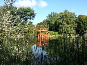Botanic Garden Pond