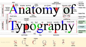 anatomy_of_typography