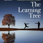 Xavier Cruz - The Learning Tree2