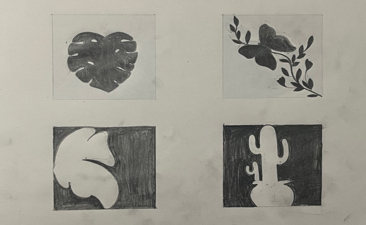 A drawing of various plants Description automatically generated