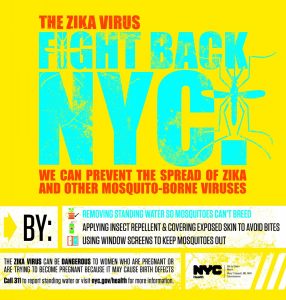 Illustration of the Zika Virus prevention messaging. The message warns pregnant women about travelling to infected areas.