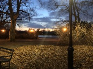 A night view of Prospect Park in Brooklyn. Photo Credit: Enrique Curiel