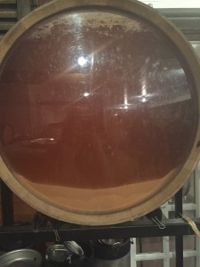 Malolactic Fermentation in Oak barrel 
