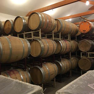 In this image is the cellar where the oak cask are kept during fermentation