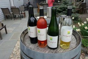 Four Tasting Wines to share