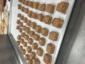 Mocha spice fudge from the prior week. 