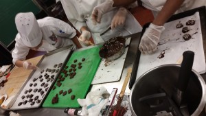 Team B: Miriam, Sofia and Shaquan dipping chocolate ganache into dark chocolate and decorating the tops with white chocolate.