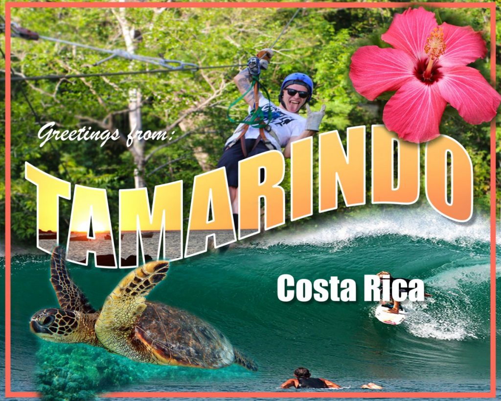 Greetings from Tamarindo Postcard