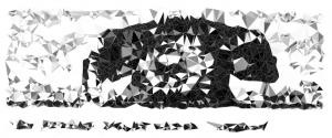 triangulated-image (1)