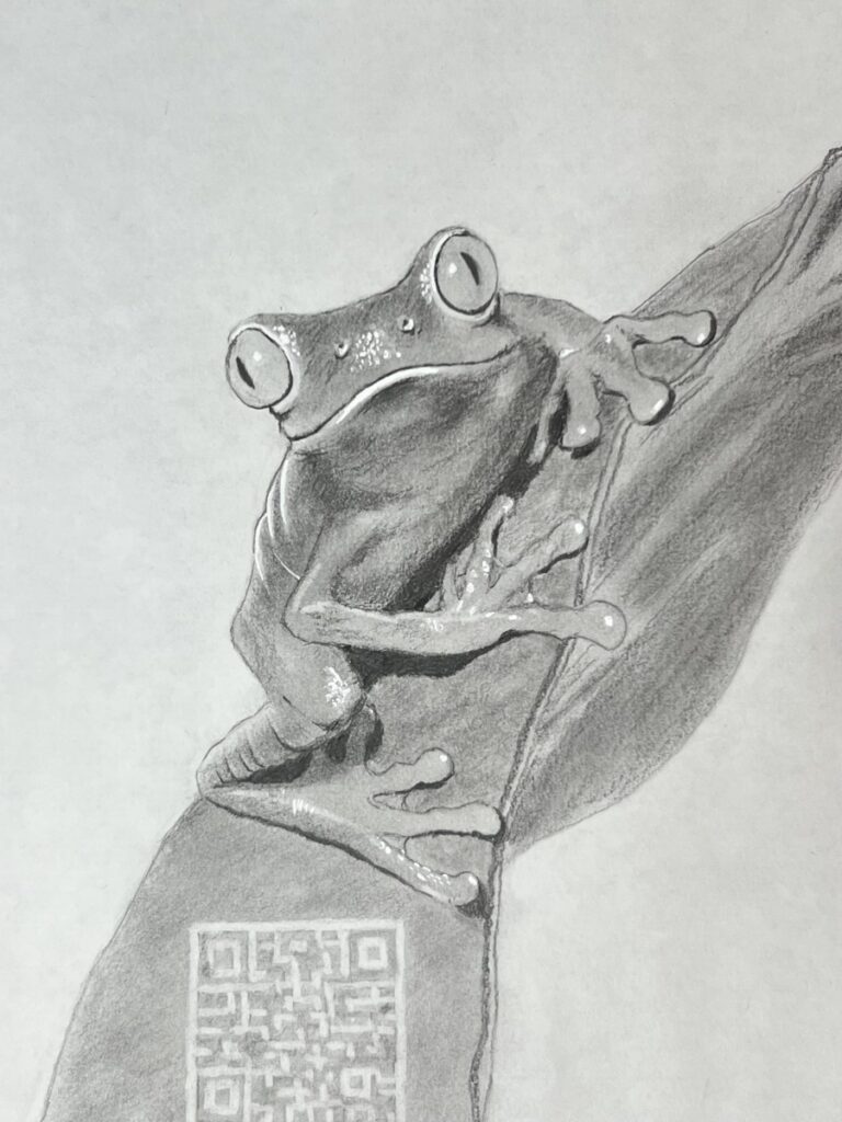 Drawing of frog sitting on leaf in rainforest.