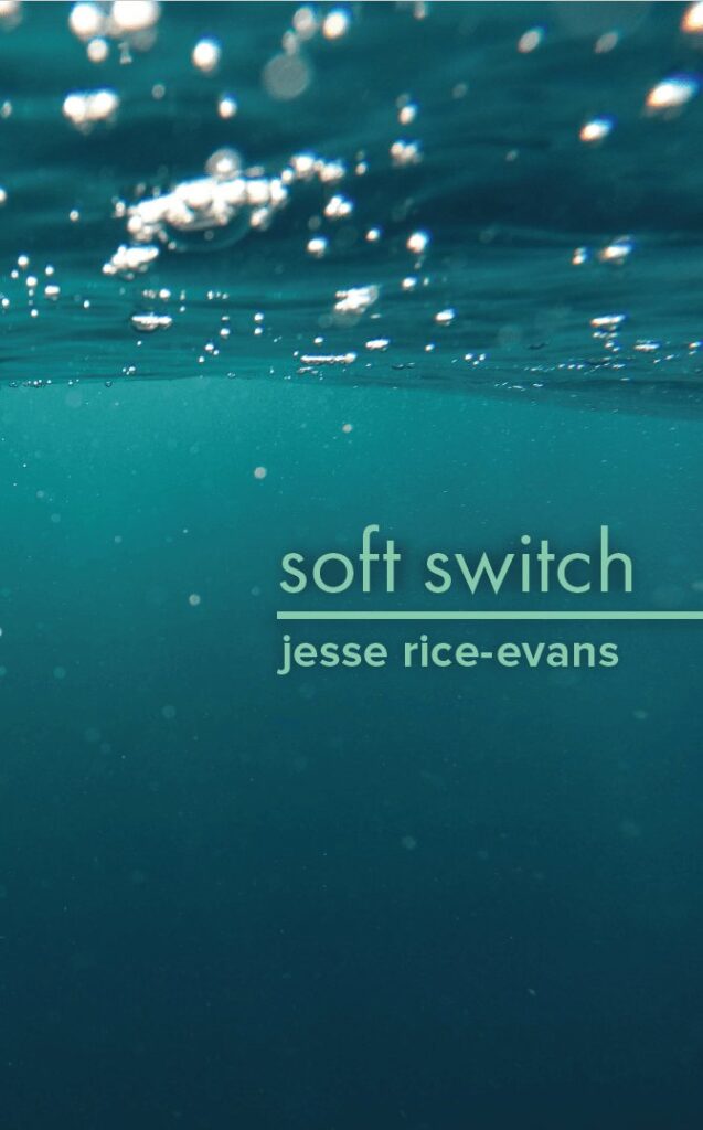 Underwater photo of the ocean in many shades of blue with dappled sunlight on the top third of the page. The title SOFT SWITCH is in paler blue sans serif font above the author's name
