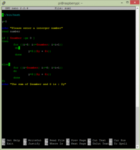 SUM BY FOR LOOP CODE AND NEGATIVE