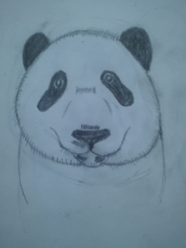 Premium Vector | Hand drawn head panda line art black and white