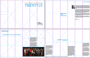Annual Report Indesign Layout