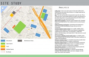 red hook site analysis