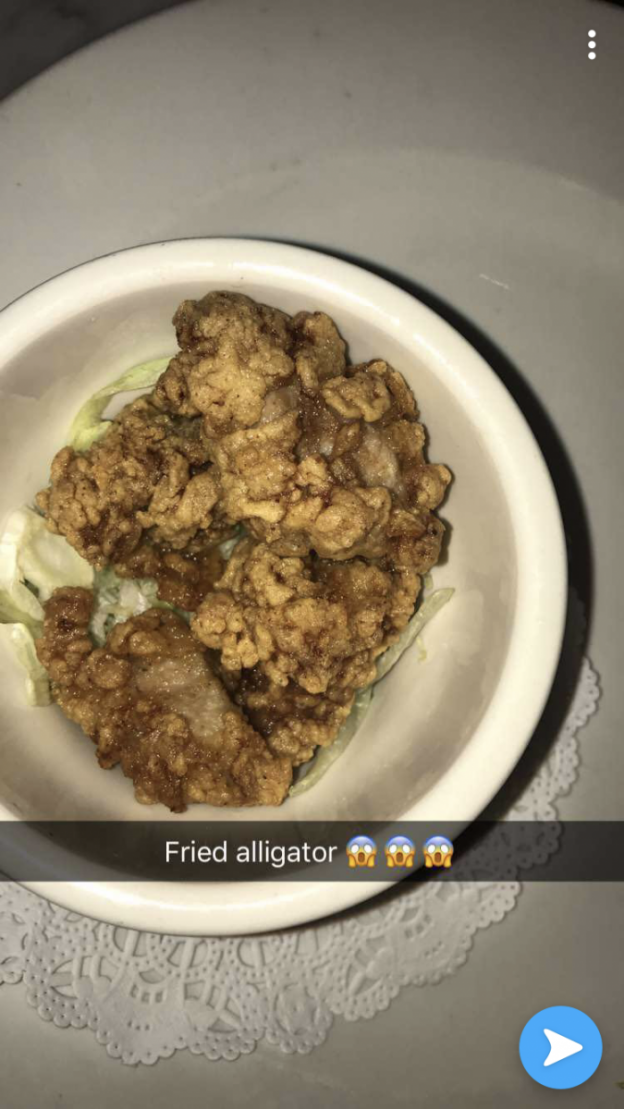 Fried Alligator | Culinary Tourism Fall 2018