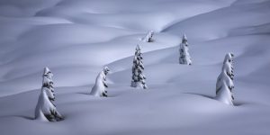 Alex Noriega: Hibernation, Mount Rainier, Washington