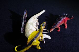 bones, computer part and dinosaur toys
