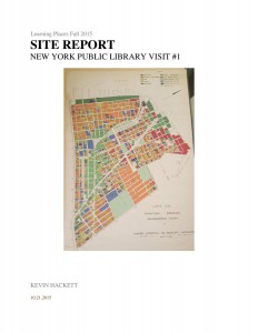 Site Report NYPL 1-page-001