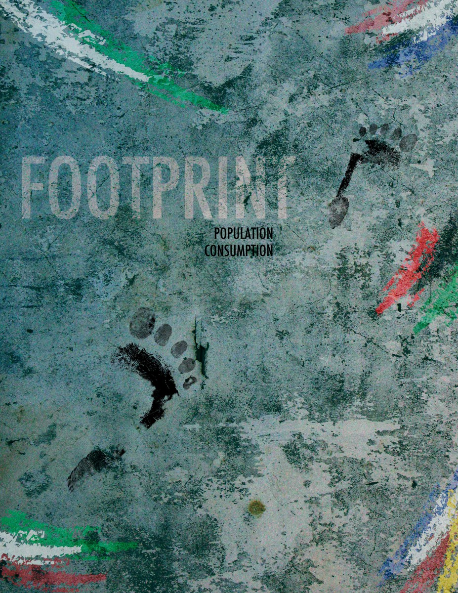 Footprintflags