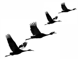 4 flying cranes