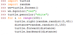 turtlecode