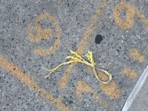 This image shows a broken piece of rope. It was found on a sidewalk. This image is a geometric shape because it's visible to conclude what is it. 