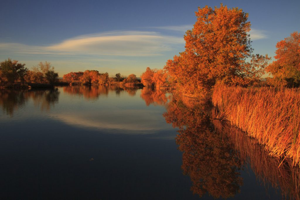 a lake setting in the fall where leaves on trees are orange