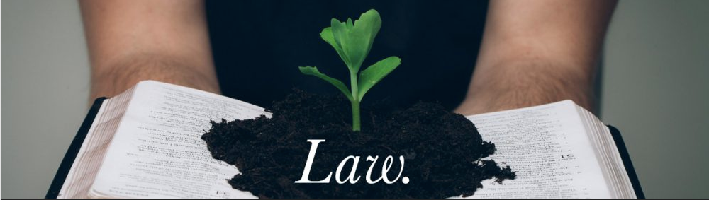 Header image from Professor Coughlin's Law 1101 site. An picture of two hands holding up a newly sprouting plant.
