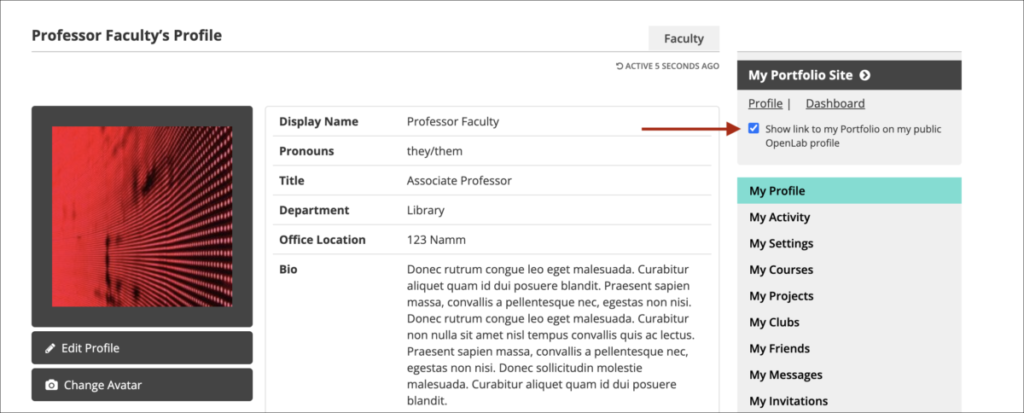 Checkbox with text "Show link to my Portfolio on my public OpenLab profile."