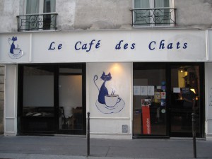 A café with cats. There are now 2 in Paris. You can have lunch, tea or dinner with a cat on your lap.