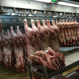Meat hanging on racks. Buyers will be satisfied:)