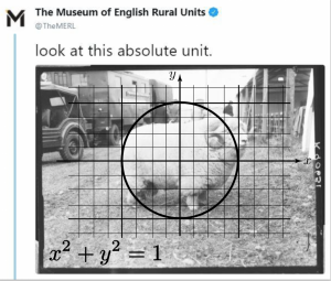 The caption is "look at this absolute unit" and the picture is of a giant sheep with the unit circle superimposed on top
