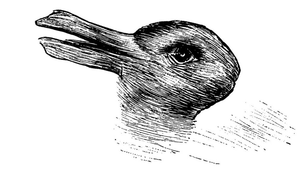 Duck-Rabbit Ambiguous Figure 