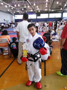 Taekwondo tournament at Queens College